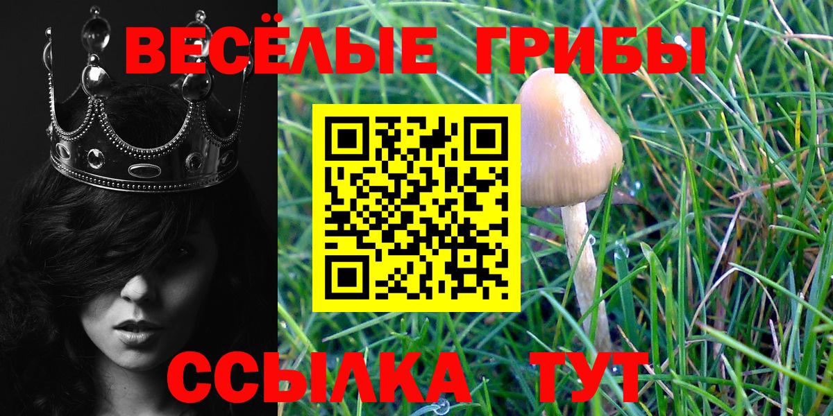 Галлюциногенные грибы Magic Shrooms Добрянка